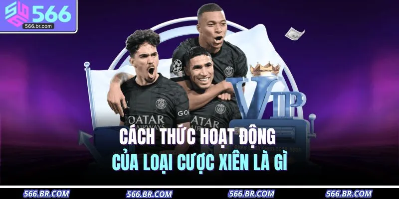 Cược Xiên Là Gì – Bí Quyết Nhận Tiền Cược Gấp Nhiều Lần 2 Cách thức hoạt động của loại cược xiên là gì