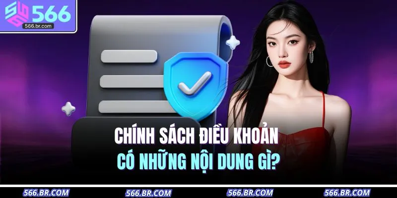 Điều Khoản Sử Dụng 2 Chính sách điều khoản có những nội dung gì?