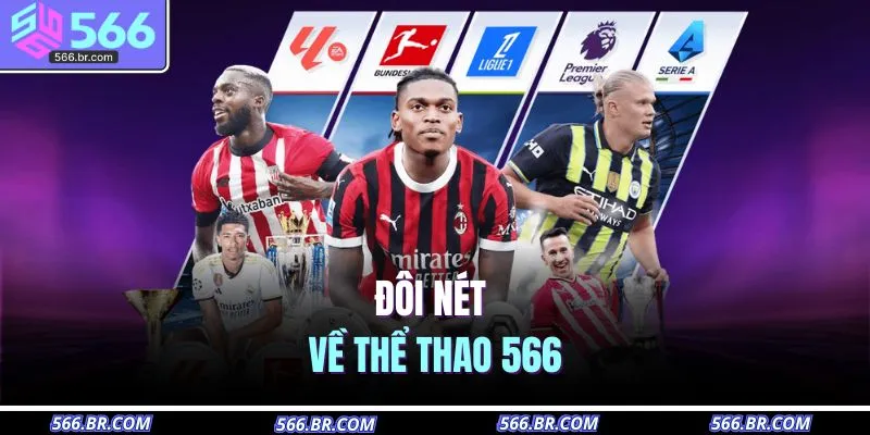 Thể Thao 566 1 Đôi nét về thể thao 566