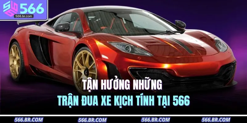 Thể Thao 566 3 Tận hưởng những trận đua xe kịch tính tại 566